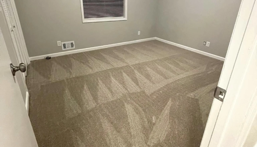 carpet